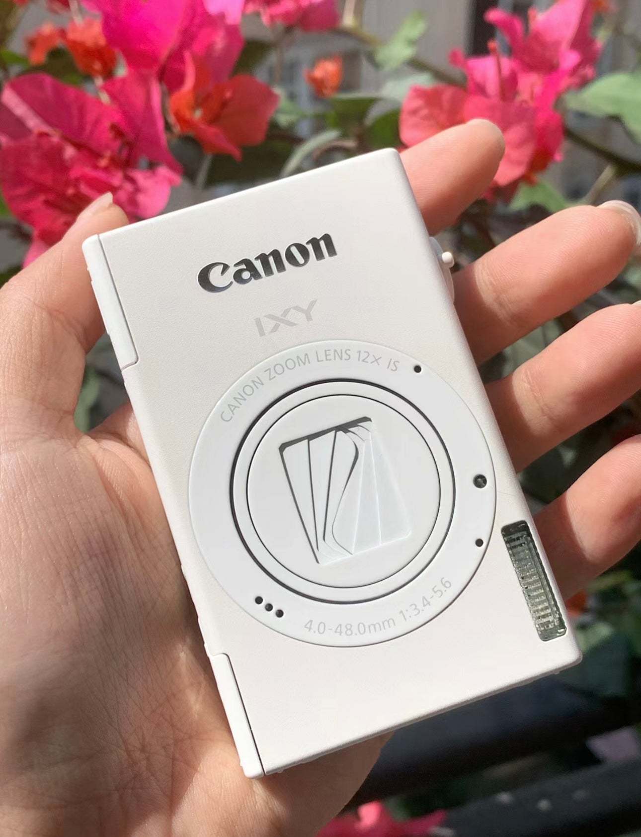 現貨🌟 超稀有!全港唯一一部 Canon IXY 1🐇🪽