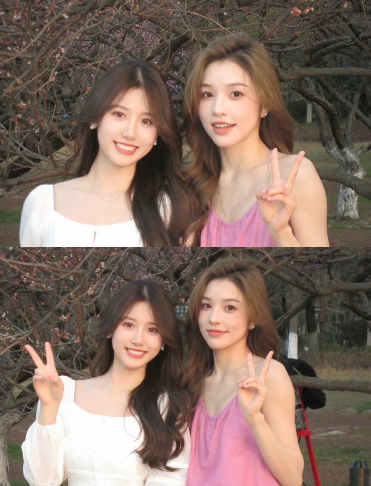 Ixus機皇之一🔥 Canon IXY 10s 🐰 熱門女神冷白皮型號♡ IXUS 210 | 同行實體店預訂$3500 85-9成新 (預訂2週半到)