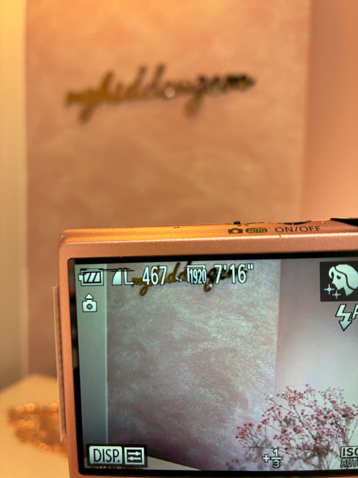 Canon IXY 220F Sabrina Carpenter同款