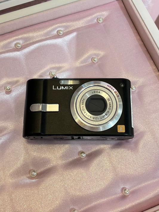 Panasonic Lumix DMC-FX12