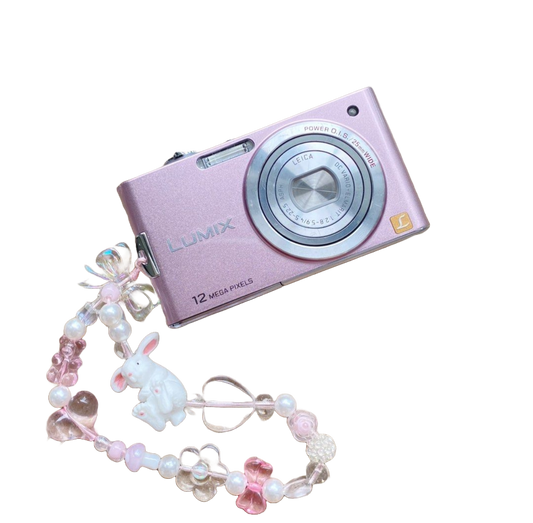 🌸 Panasonic Lumix DMC FX-60 💕