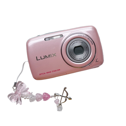 Panasonic Lumix DMC S1